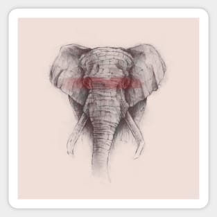 Elephant Sticker